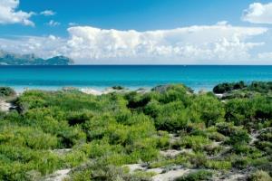 Benvinguts Hotell Port de Alcudia  Exteriör bild
